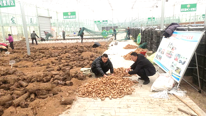 1717381720944207.png 中药投2.png